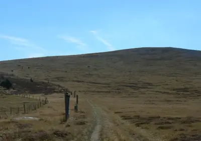 1038f995dd2e5d9d1674162642eabfe7-1