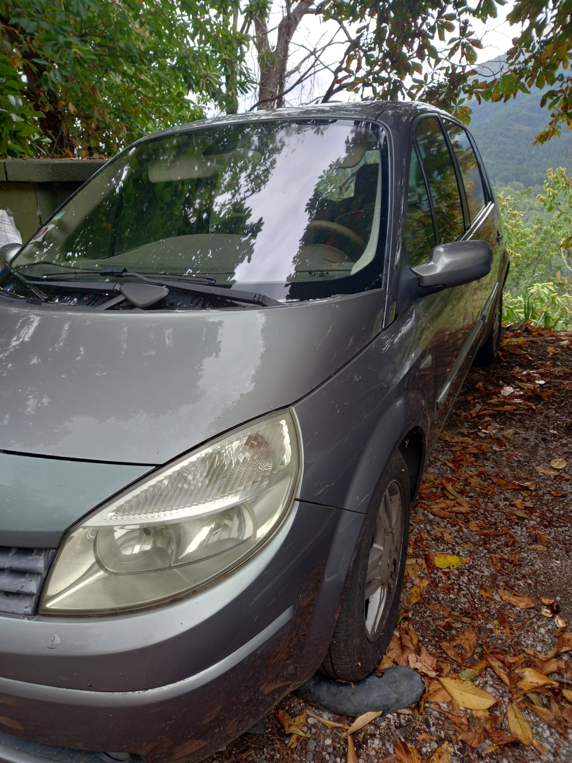 Vend Renault Megane Scenic