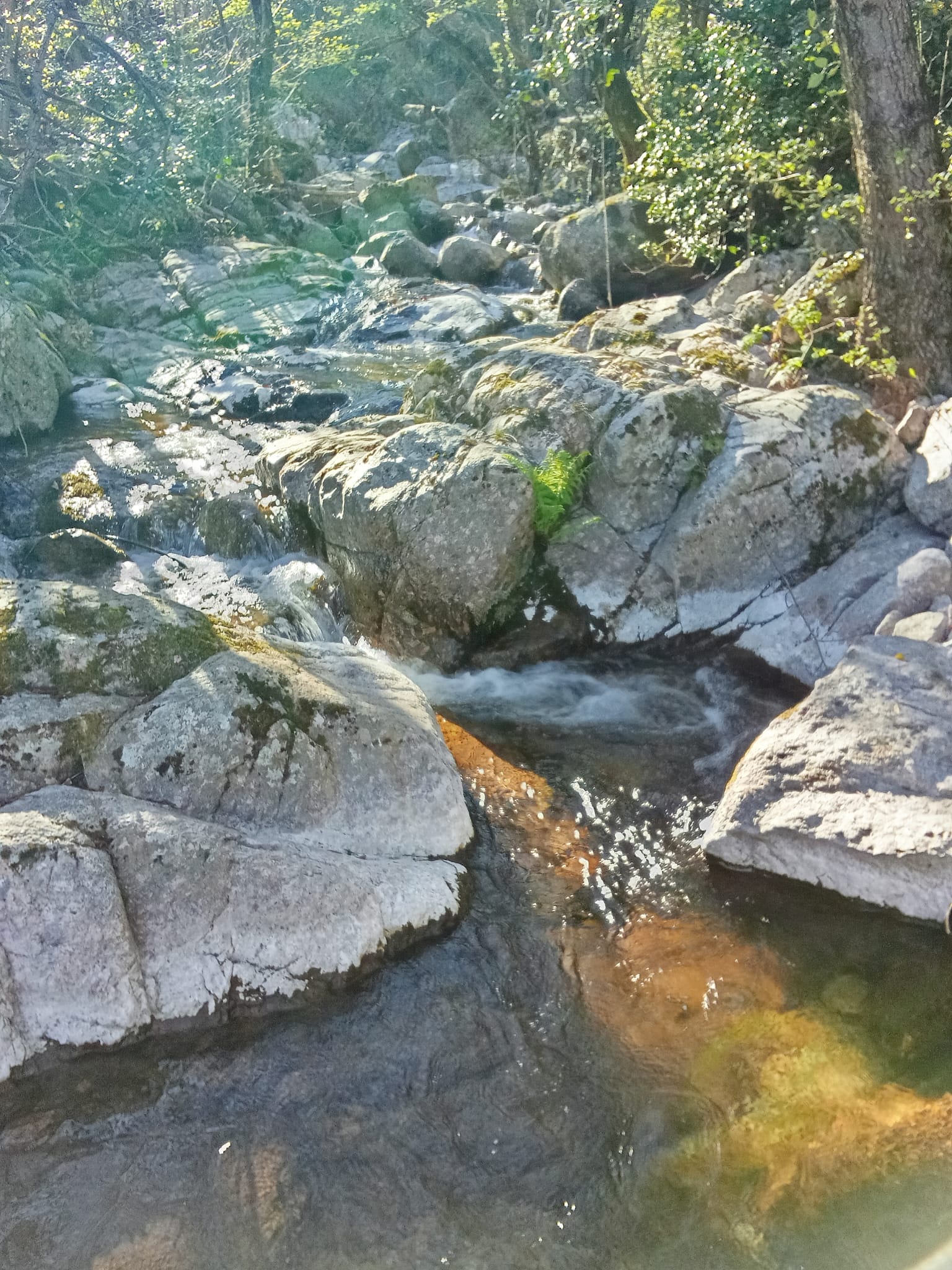 Canyoning pour tous dès 6-8 ans