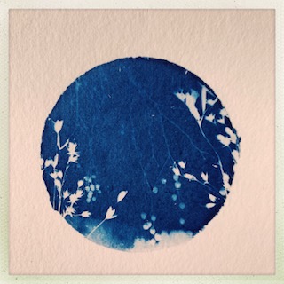 ATELIERS CREATIFS DE CYANOTYPES